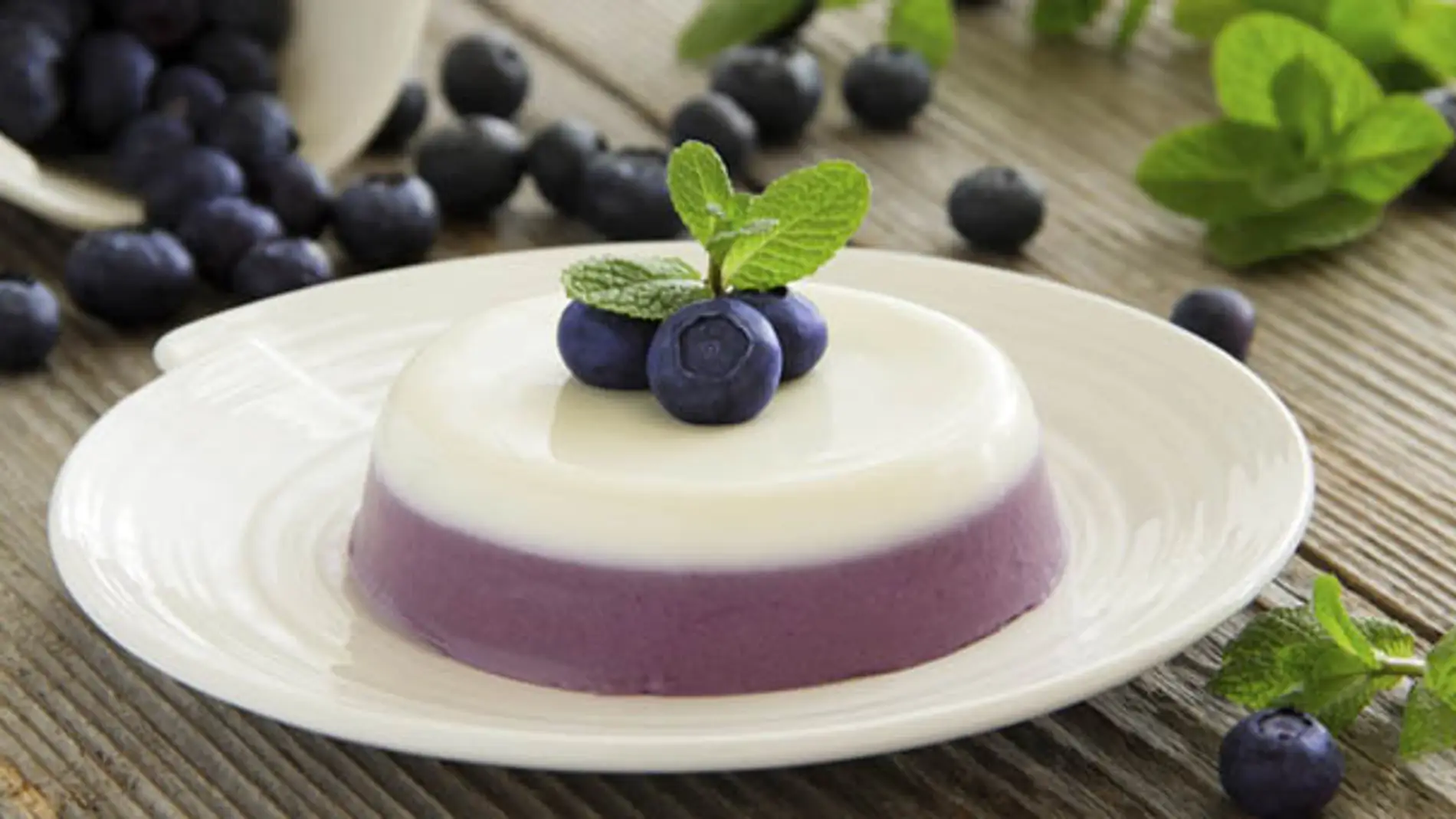 pannacotta