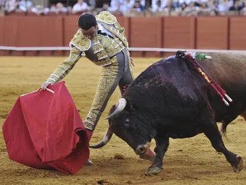 Enrique Ponce, frente a un tor Enrique Ponce, frente a un tor