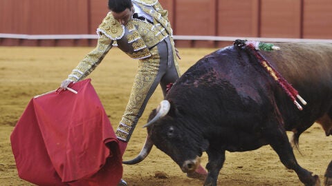 Enrique Ponce, frente a un tor