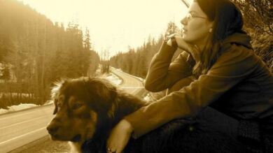 La historia de Mason, el perro que salvó la vida de su dueña enfrentándose a un lobo