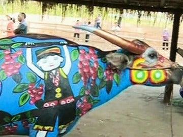 Body painting en vacas Body painting en vacas