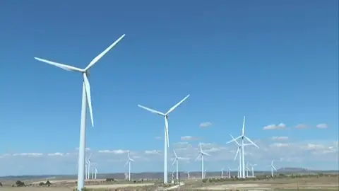 00205 00205