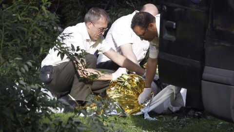 Los servicios funerarios retiran el cad&aacute;ver de un hombre en el Retiro al que le ha ca&iacute;do una rama