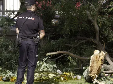 Un policía vigila la zona donde un hombre ha muerto al caerle una rama en el parque del Retiro Un policía vigila la zona donde un hombre ha muerto al caerle una rama en el parque del Retiro
