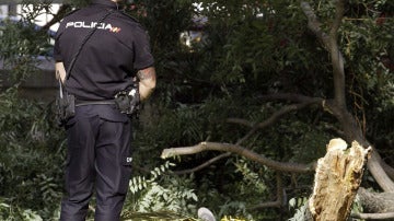 Un policía vigila la zona donde un hombre ha muerto al caerle una rama en el parque del Retiro