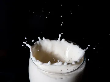 leche leche