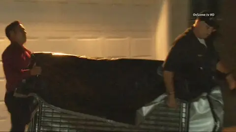 Jaula donde estaba encerrado el niño. Jaula donde estaba encerrado el niño.