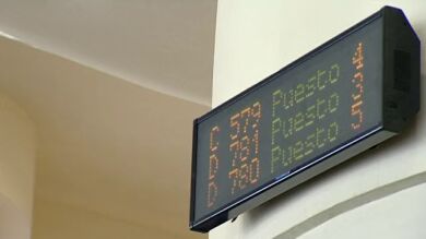 ¿Quieres realizar trámites y gestiones en la Seguridad Social sin moverte de casa?