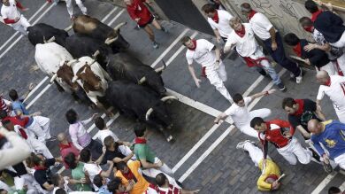 5º día: los toros de Jandilla protagonizan un quinto encierro limpio 