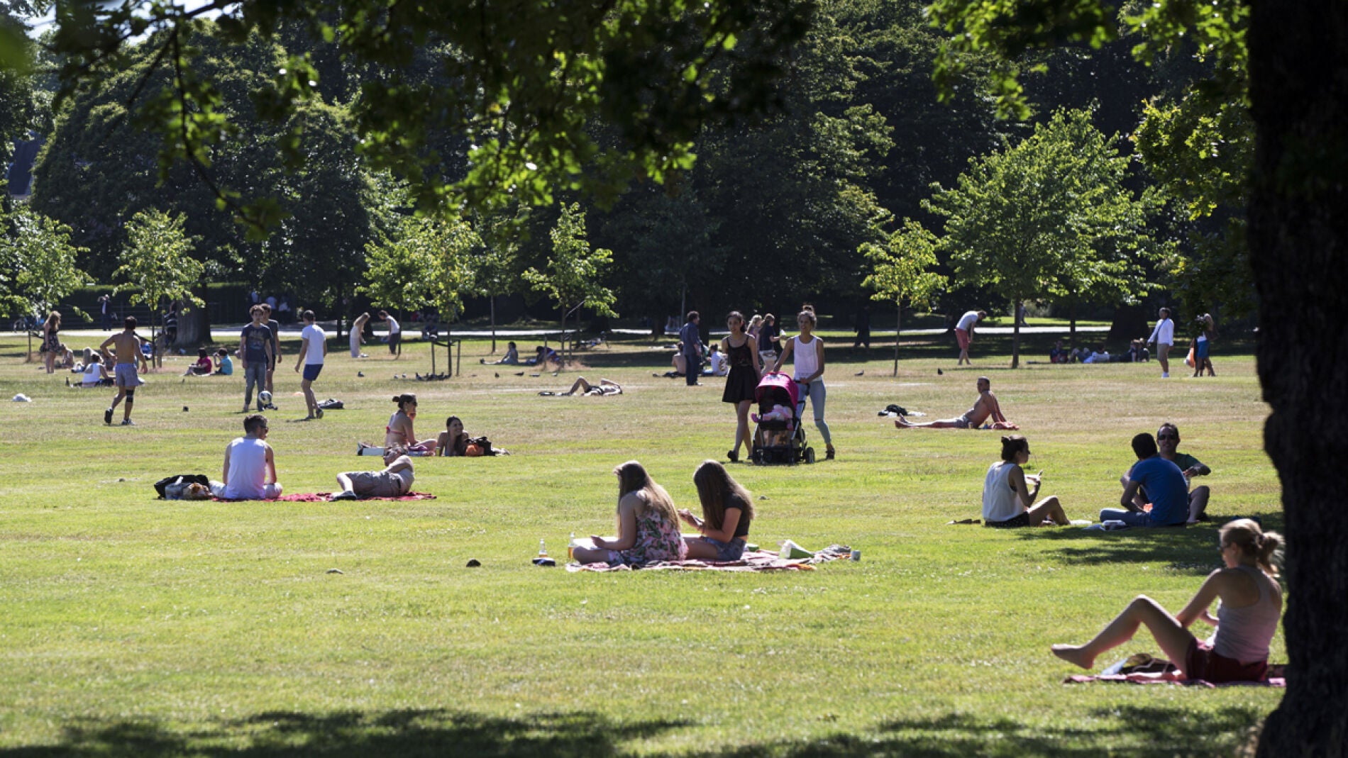 El tiempo estable y soleado predominar&aacute; en gran parte del pa&iacute;s