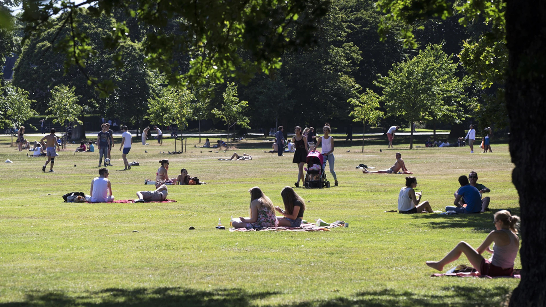 El tiempo estable y soleado predominará en gran parte del país El tiempo estable y soleado predominará en gran parte del país