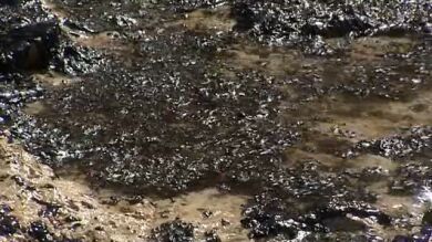 Un vertido en la playa canaria de El Cabrón afecta a más de un kilómetro del litoral