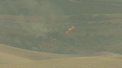 El incendio declarado en el Cogolludo, Guadalajara, arrasa 300 hectáreas 