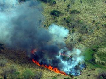 Oleada de incendios en el estado de Washington, EEUU