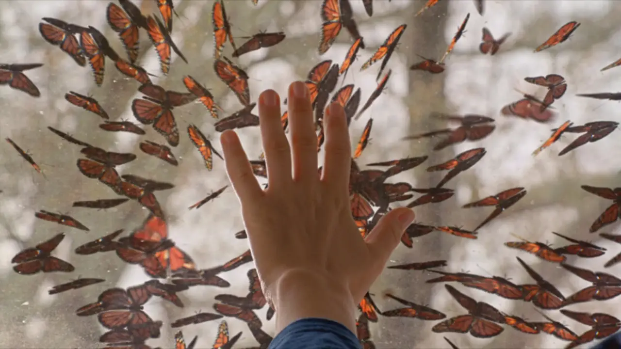 Una plaga de mariposas invaden Chester's Mills