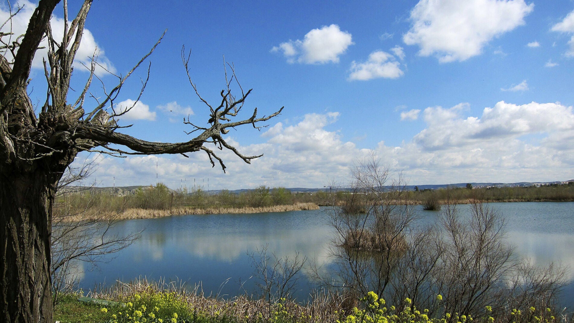 Los acu&iacute;feros est&aacute;n "al l&iacute;mite" en amplias zonas de Espa&ntilde;a (27-07-2014)