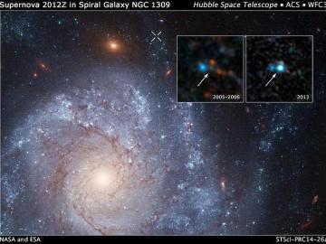La débil supernova, llamada SN 2012Z, reside en la galaxia NGC1309 La débil supernova, llamada SN 2012Z, reside en la galaxia NGC1309