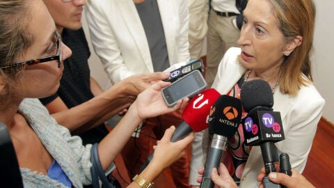 Ana Pastor anuncia que las familias de las v&iacute;ctimas del avi&oacute;n de Swiftair puede iniciar acciones