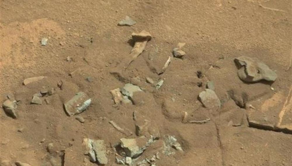 Una roca de Marte con forma de hueso causa revuelo en las redes