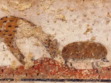 El arte egipcio revela una gran extinción de especies por sequías El arte egipcio revela una gran extinción de especies por sequías