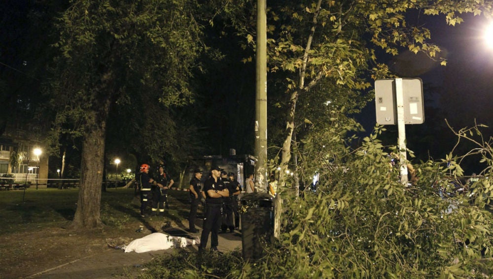 El Ayuntamiento de Madrid revisará los árboles de la capital