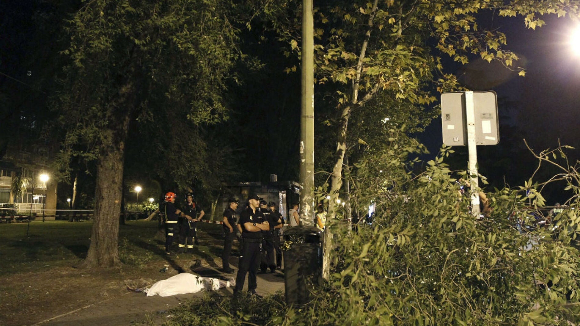 El Ayuntamiento de Madrid revisar&aacute; los &aacute;rboles de la capital