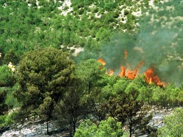Incendio en Almansa
