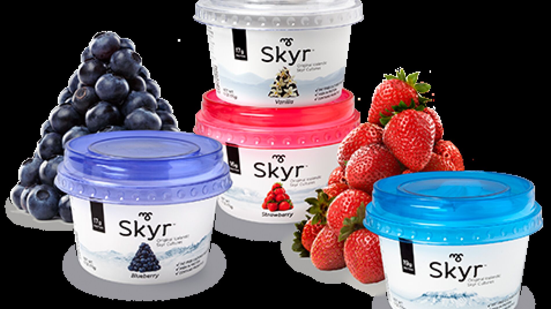skyr