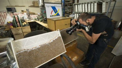 Desmantelada la mayor operación contra fábricas ilegales de tabaco en España
