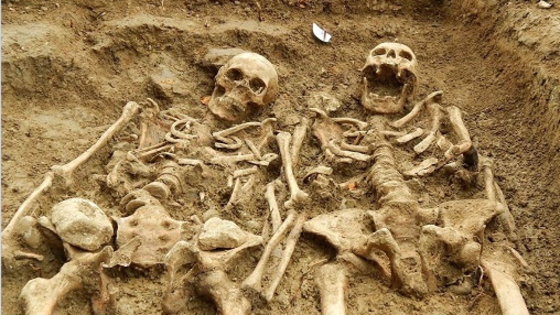 Los esqueletos cogidos de la mano encontrados en Leicester