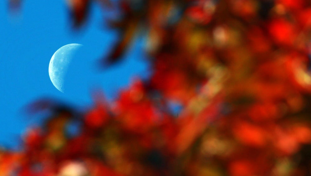 Comienza el otoño