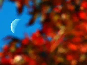Comienza el otoño Comienza el otoño