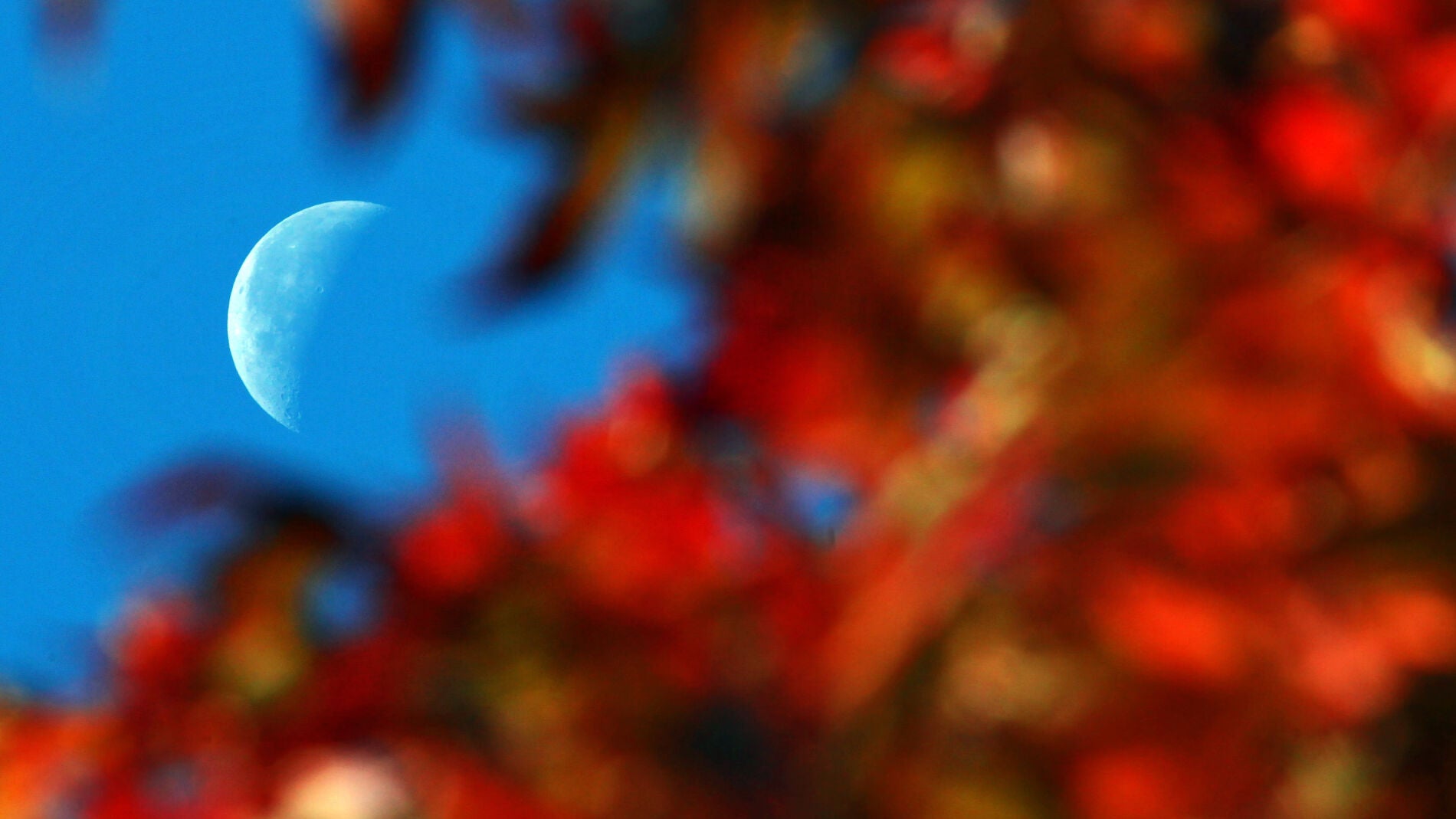 Comienza el oto&ntilde;o