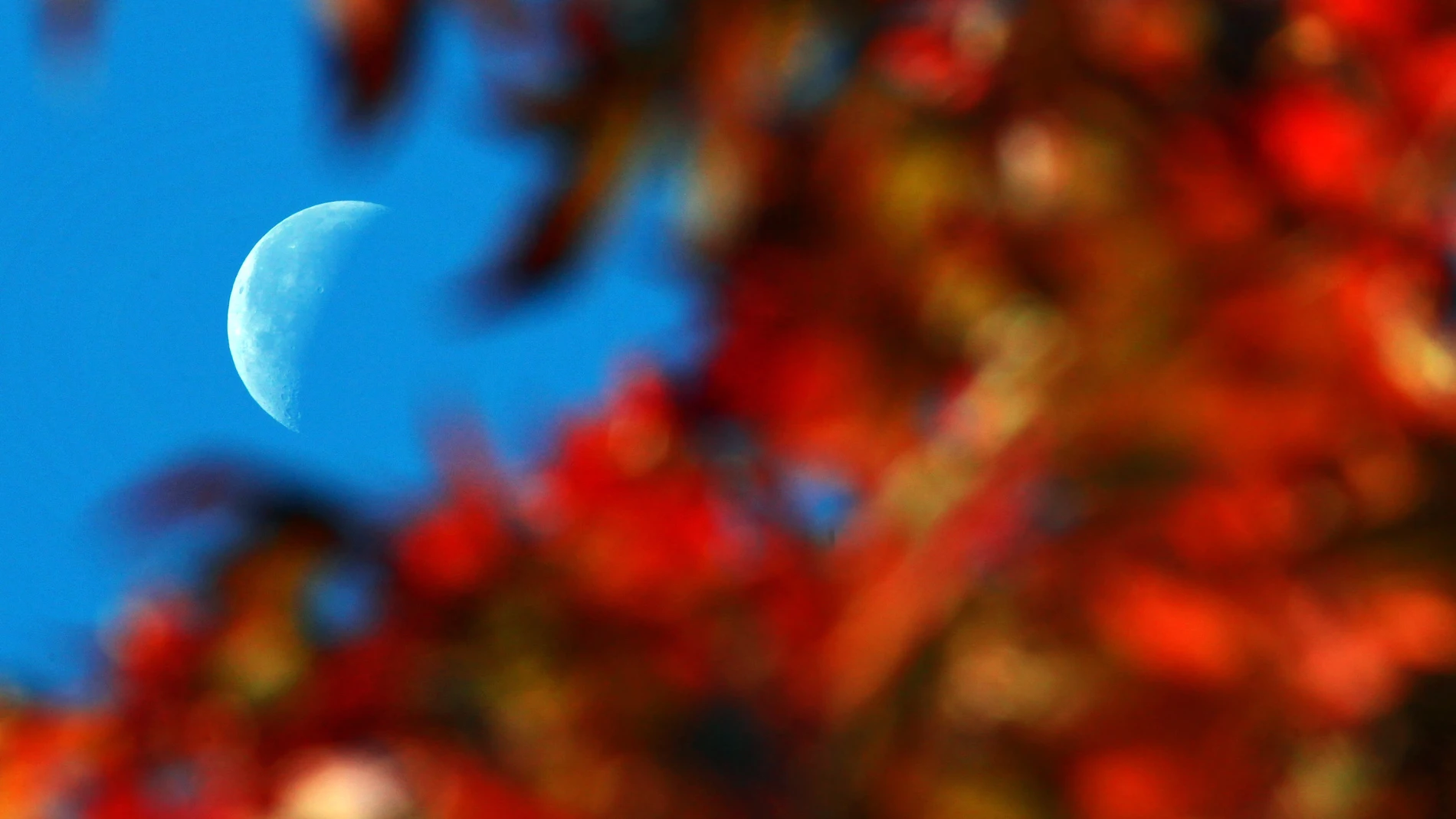 Comienza el otoño Comienza el otoño