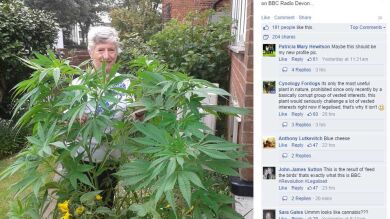 Una mujer se entera por Facebook de que la planta de su jardín es marihuana
