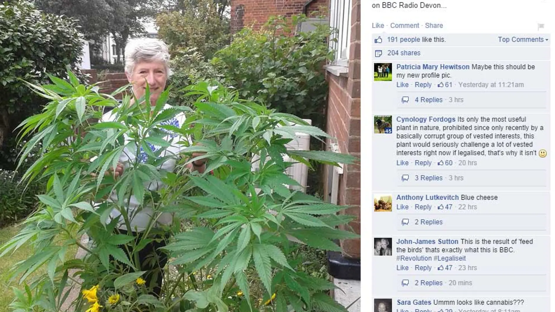 La mujer subió una foto suya con la planta para resolver su duda La mujer subió una foto suya con la planta para resolver su duda