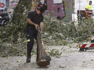 Cae la rama de un árbol en Madrid