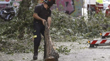 Cae la rama de un árbol en Madrid