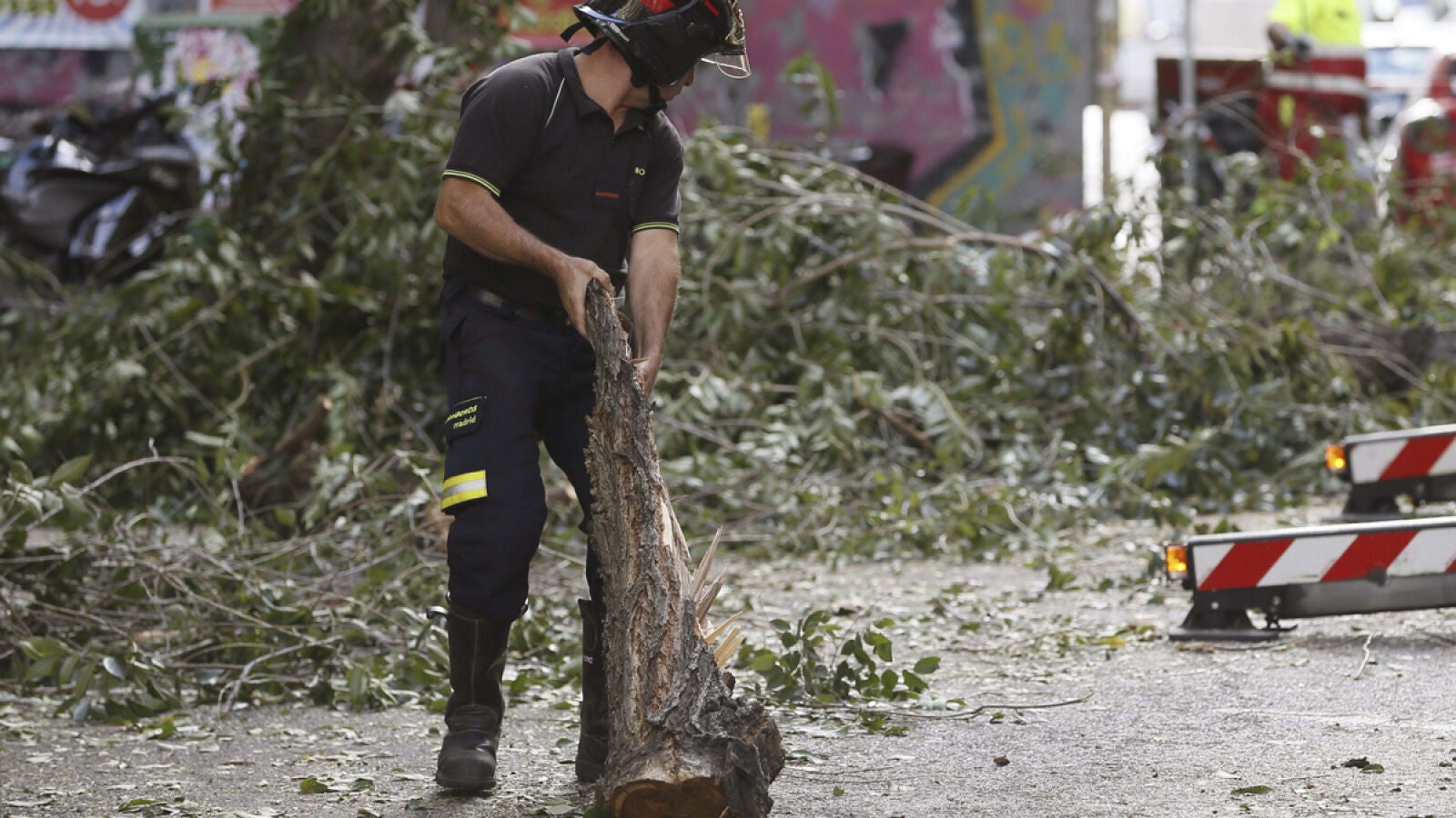 El Ayuntamiento de Madrid indemnizará con 21.198 euros a una mujer que le cayó una rama de árbol