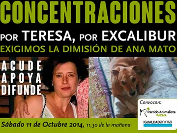 Concentración contra el sacrificio de Excalibur Concentración contra el sacrificio de Excalibur