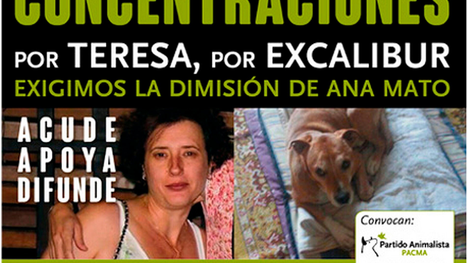 Concentraci&oacute;n contra el sacrificio de Excalibur