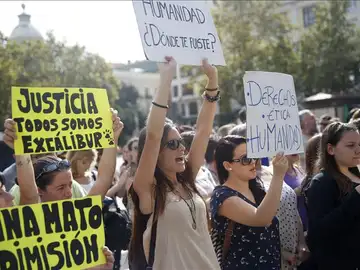 Los animalistas se pusieron de parte de Teresa Romero y Excalibur Los animalistas se pusieron de parte de Teresa Romero y Excalibur