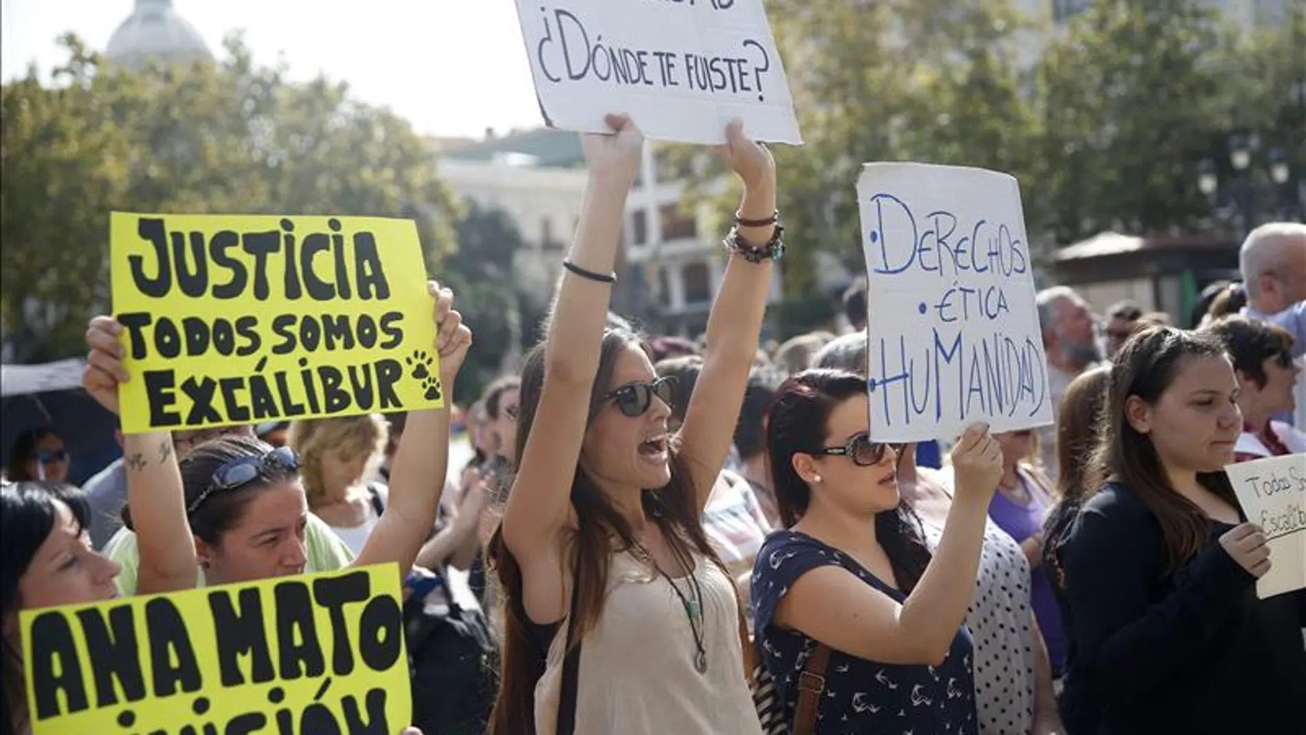 Los animalistas se pusieron de parte de Teresa Romero y Excalibur Los animalistas se pusieron de parte de Teresa Romero y Excalibur