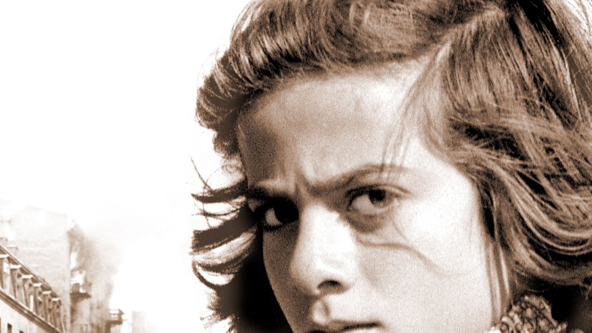 28 d&iacute;as de David Safier