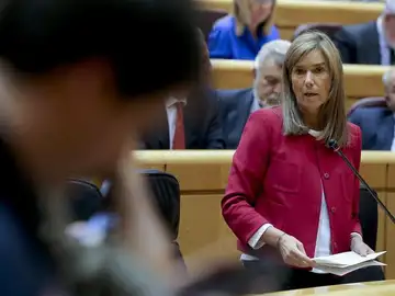 Ana Mato en el Senado Ana Mato en el Senado