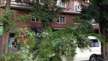 Una rama cae en la calle Embajadores sobre un coche que estaba aparcado