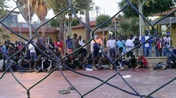 Grupo de inmigrantes que ha conseguido pasar la valla de Melilla