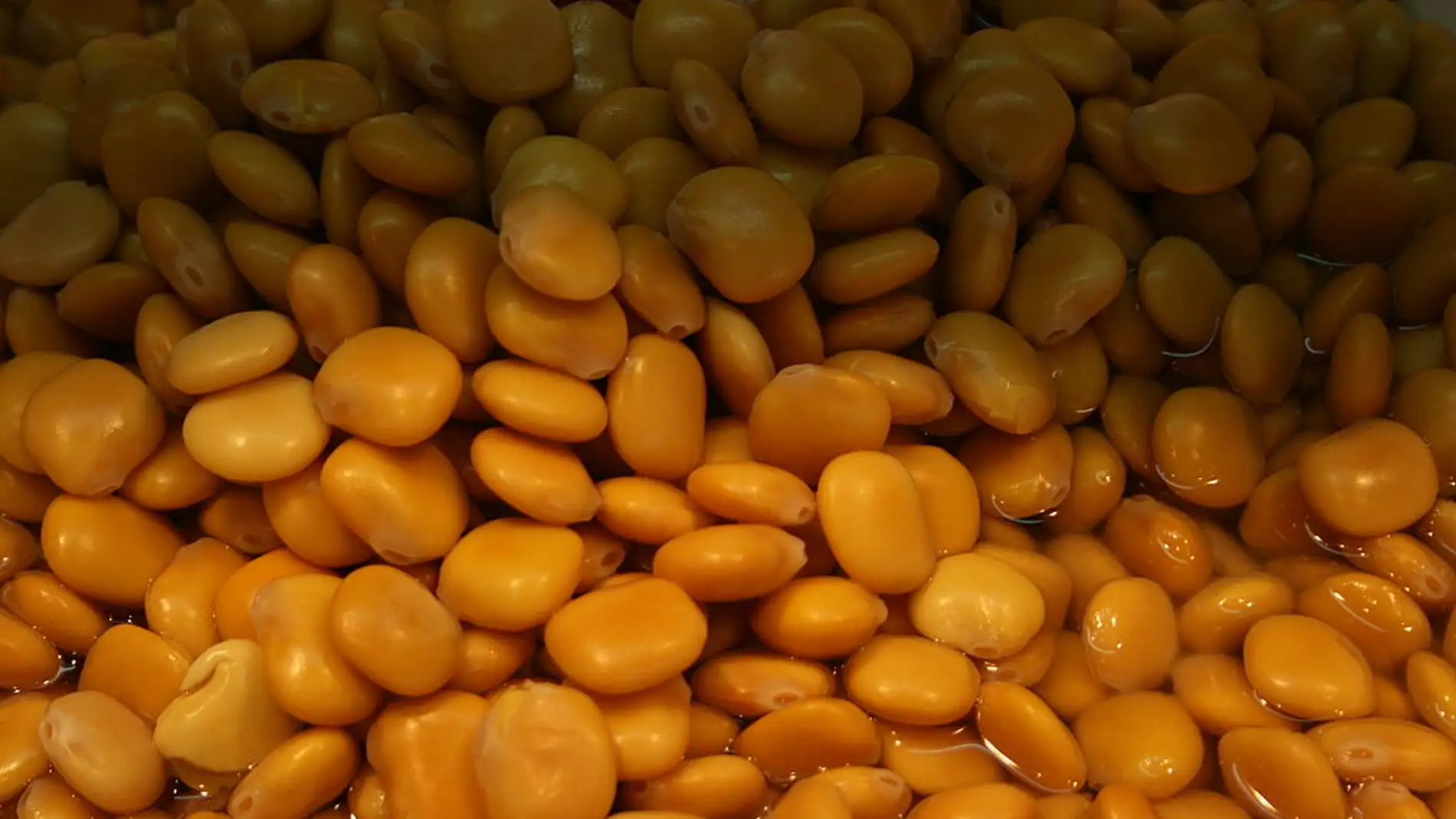 Unos altramuces chochos, listos para ser comidos.