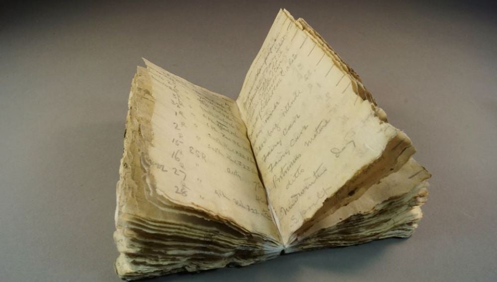Diario de George Murray