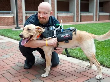 El arnés Hi-Tech El arnés Hi-Tech